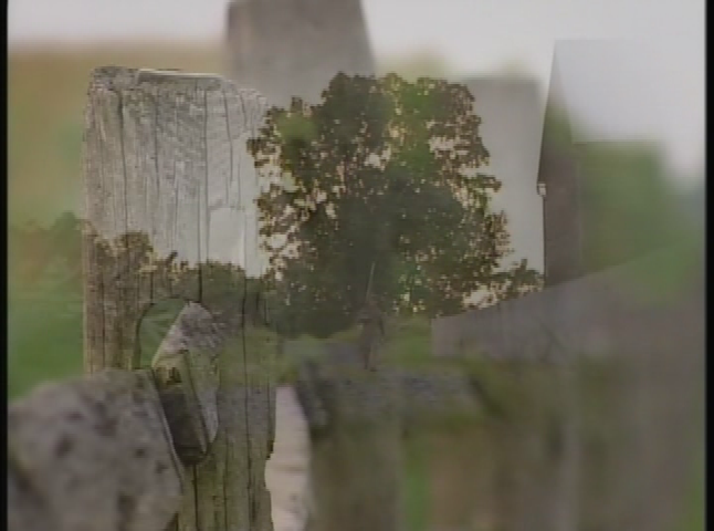 America's History in the Making