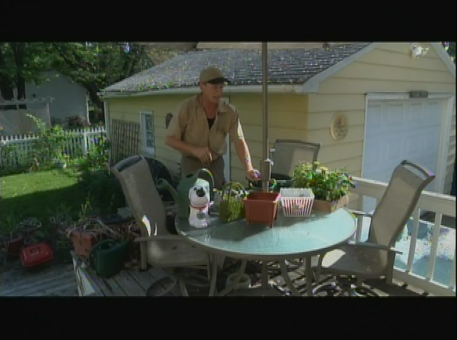 Thumbnail image for The Northwoods Cooking Show