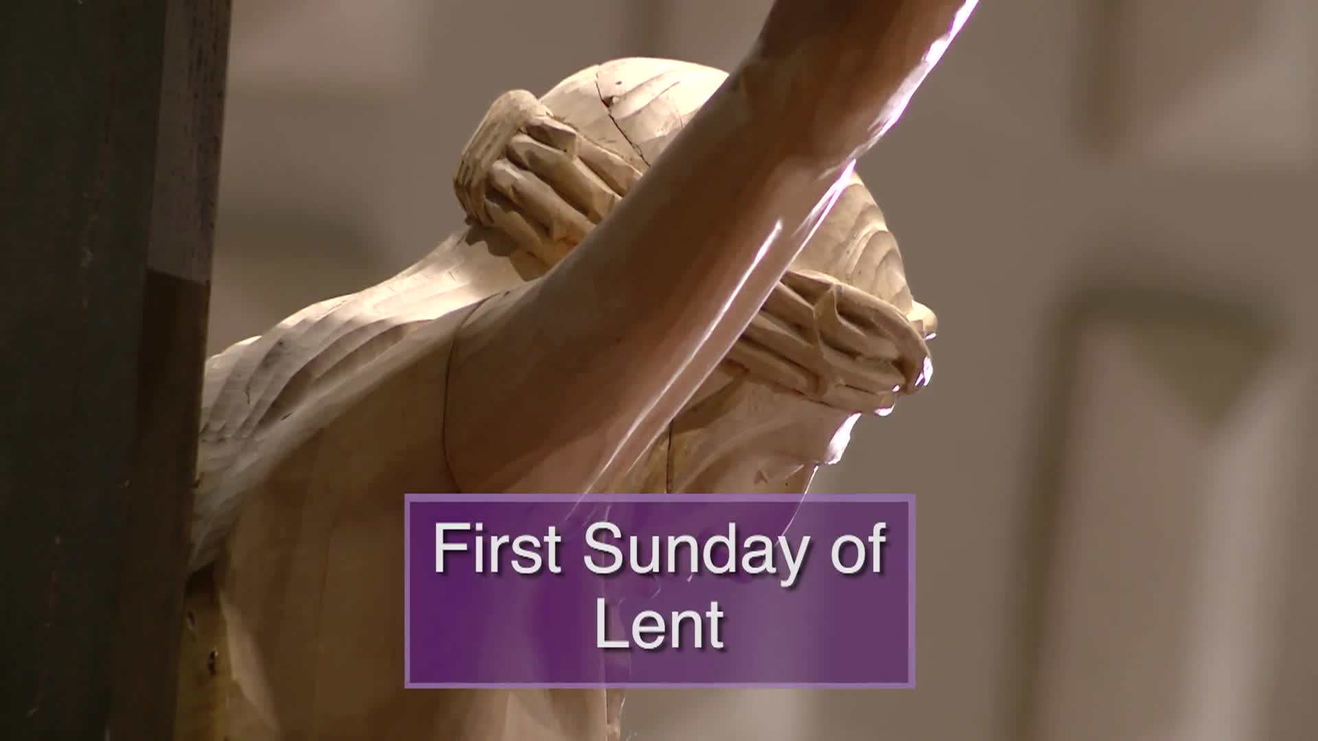 Thumbnail image for Diocese of Lansing Outreach Mass: February 22, 2026