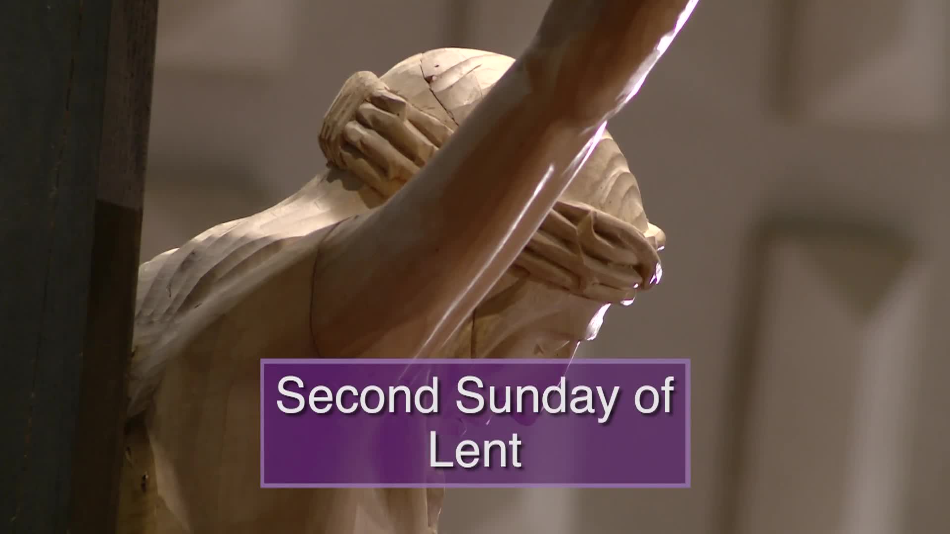 Thumbnail image for Diocese of Lansing Outreach Mass: March 1, 2026