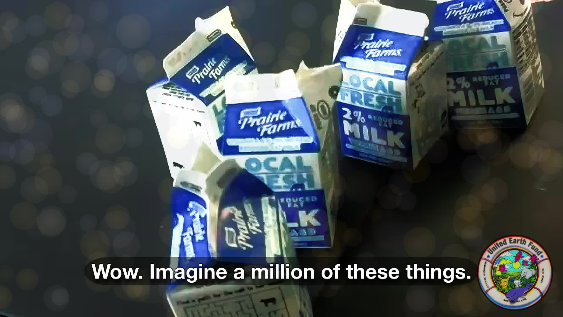 Thumbnail image for Milk Carton Recycling