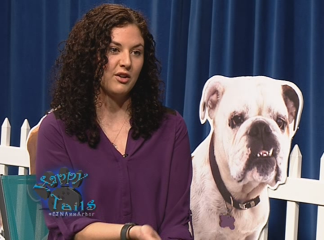 Thumbnail image for Happy Tails