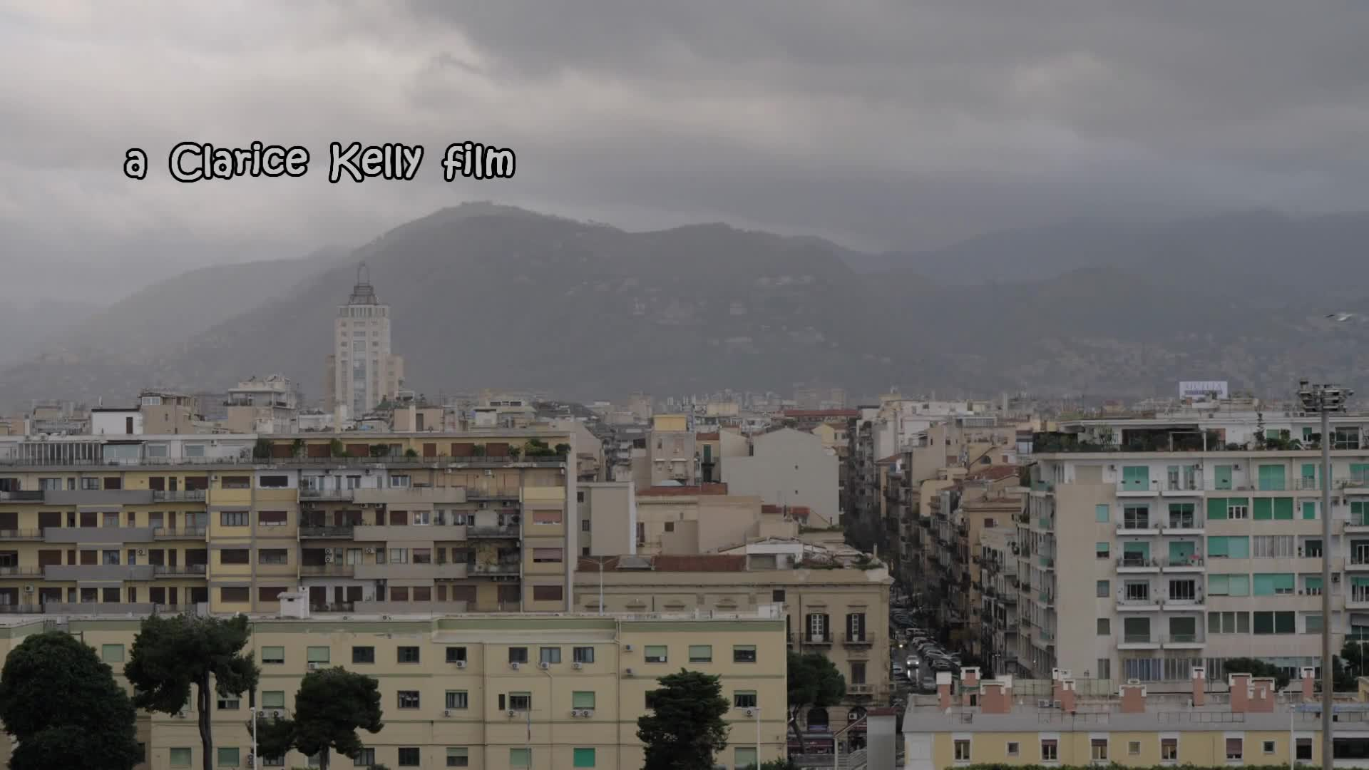 Thumbnail image for When Birds Attack