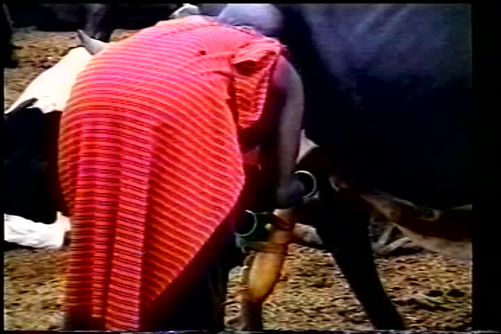 Thumbnail image for Kenya: The Land of Eden