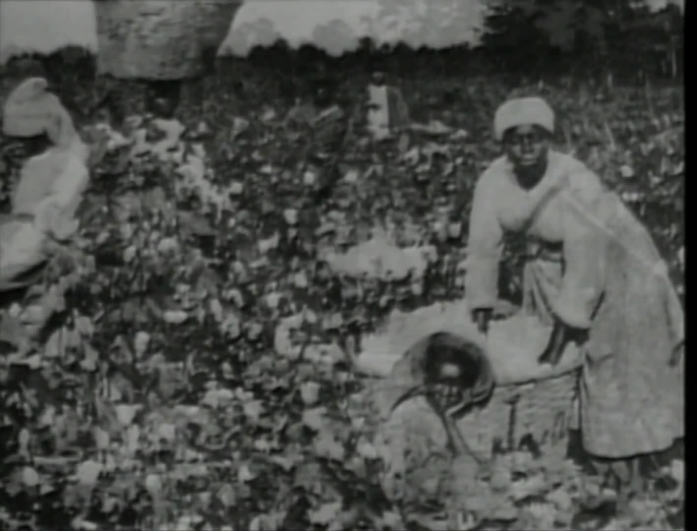 Things of Interest Special