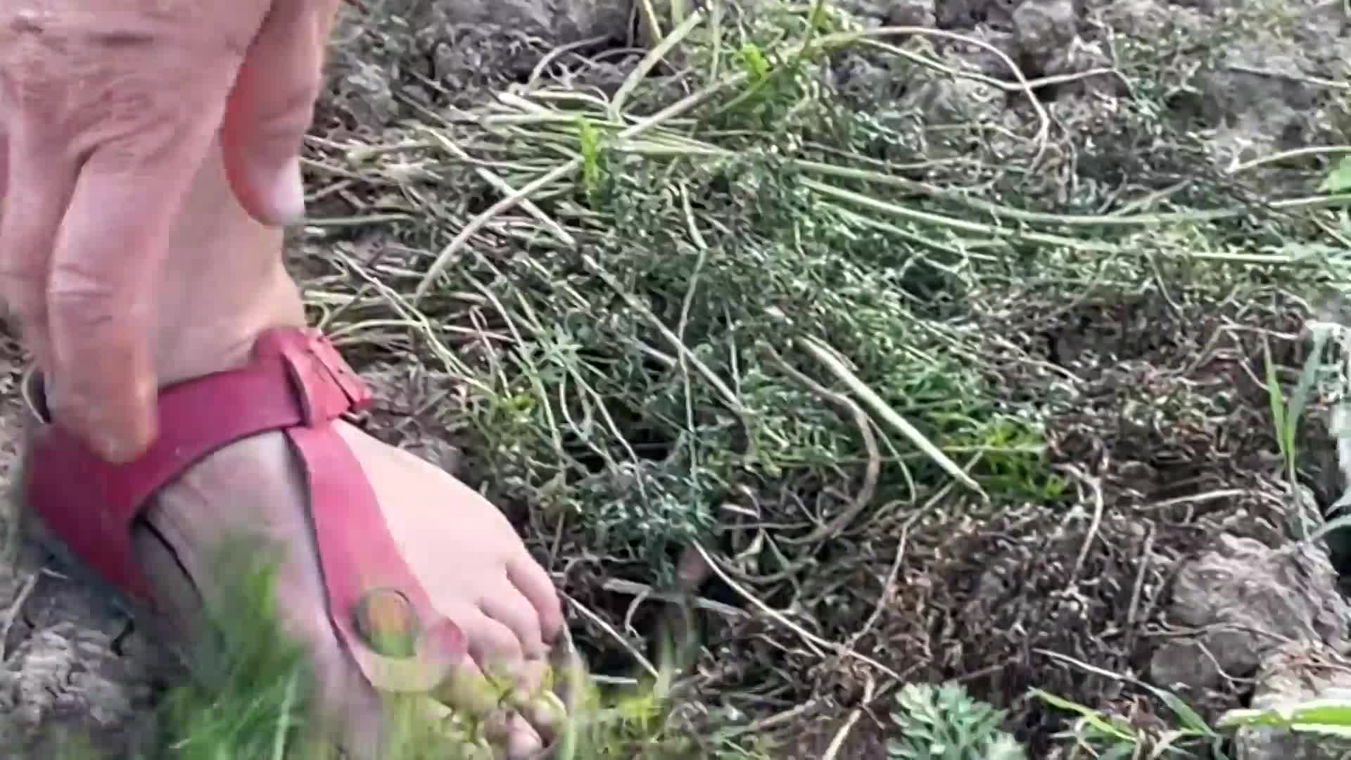 Thumbnail image for Cooking and Kids