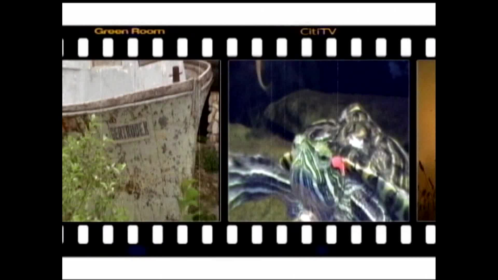 Thumbnail image for Green Room