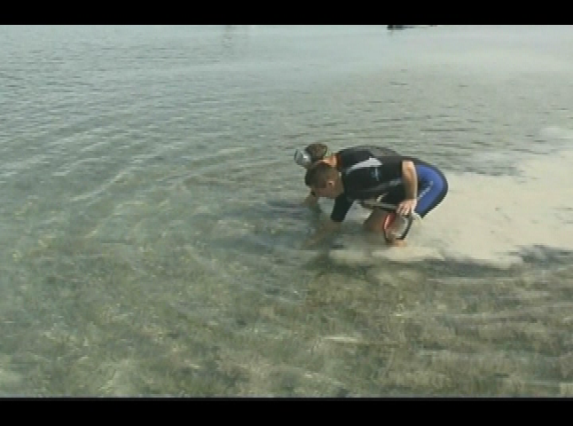 Thumbnail image for Your Sanctuary