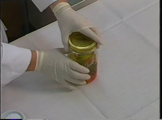 Thumbnail image for Cooking with Angus